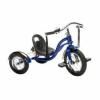 Schwinn Roadster 12-Inch Tricycle