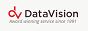 DataVision - Logo