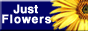 JustFlowers.com - Logo